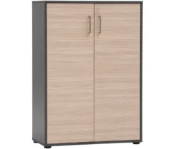 Aktenschrank »Metz«, 2-türig, anthrazit/canello