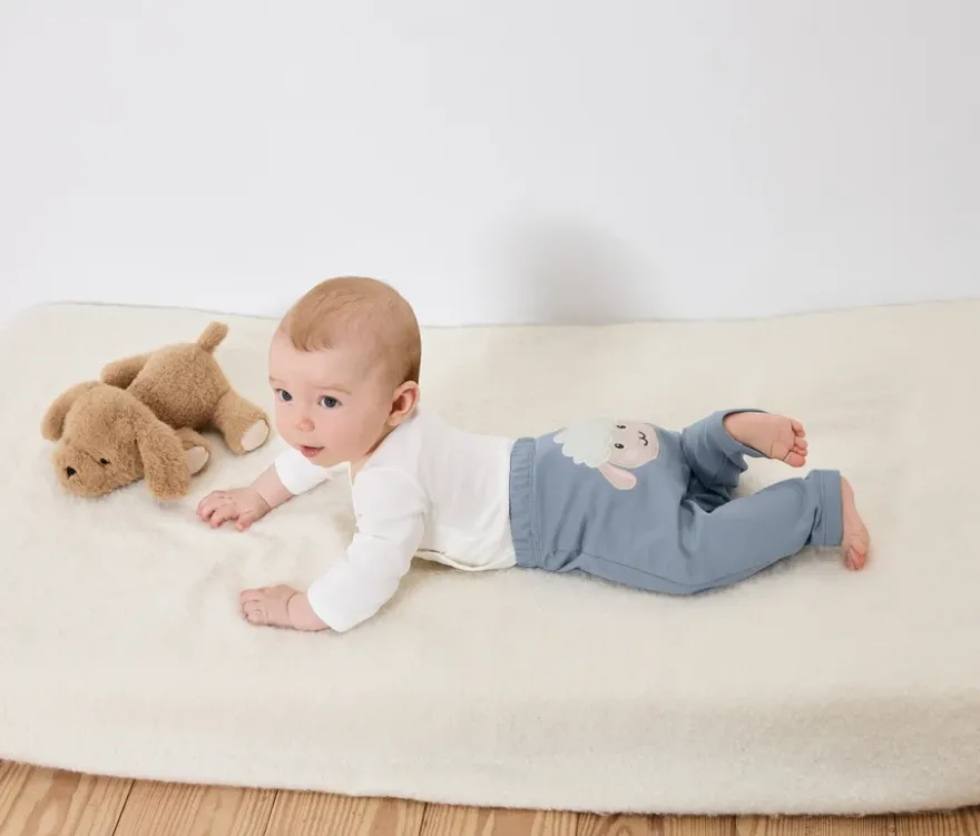 Babyhose, Schaf