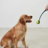 Ballschleuder