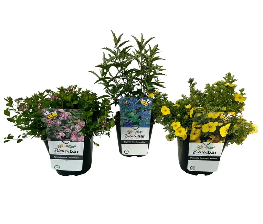 Bienengarten, 3er-Set