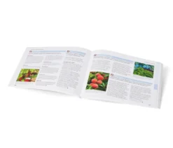 Buch »Gut geplant durchs Gartenjahr«