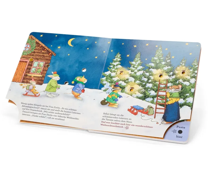 Buch »Leo Lausemaus und die Weihnachtslichter«