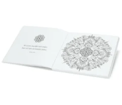Buch »Mandala Zauber – entspannte Ausmalmomente«