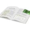 Buch »Neue Hochbeet-Ideen«