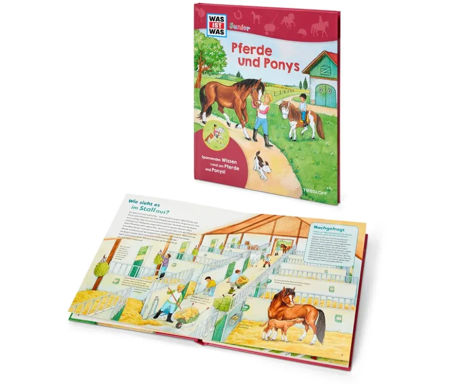 Buch: »WAS IST WAS Junior – Pferde und Ponys«