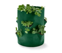 Erdbeeren-Pflanztasche