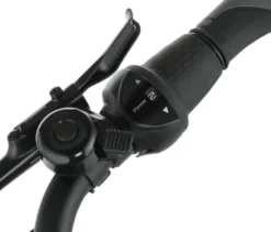 FISCHER City E-Bike CITA 2403 ACTIVE, Rahmenhöhe 43 cm