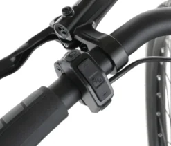 FISCHER City E-Bike CITA 2403 ACTIVE, Rahmenhöhe 50 cm