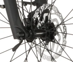 FISCHER Trekking-E-Bike VIATOR MOVE, groß, Diamant-Rahmen