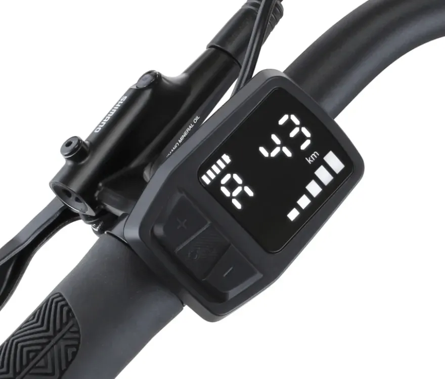 FISCHER Trekking-E-Bike VIATOR MOVE, groß, Diamant-Rahmen