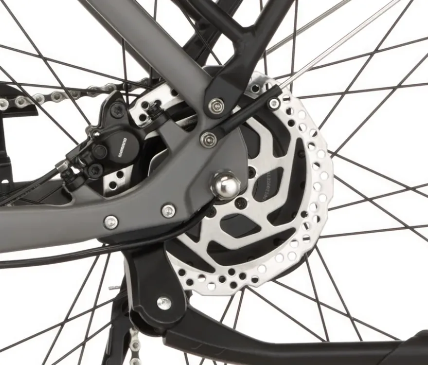 FISCHER Trekking-E-Bike VIATOR MOVE, groß, Diamant-Rahmen