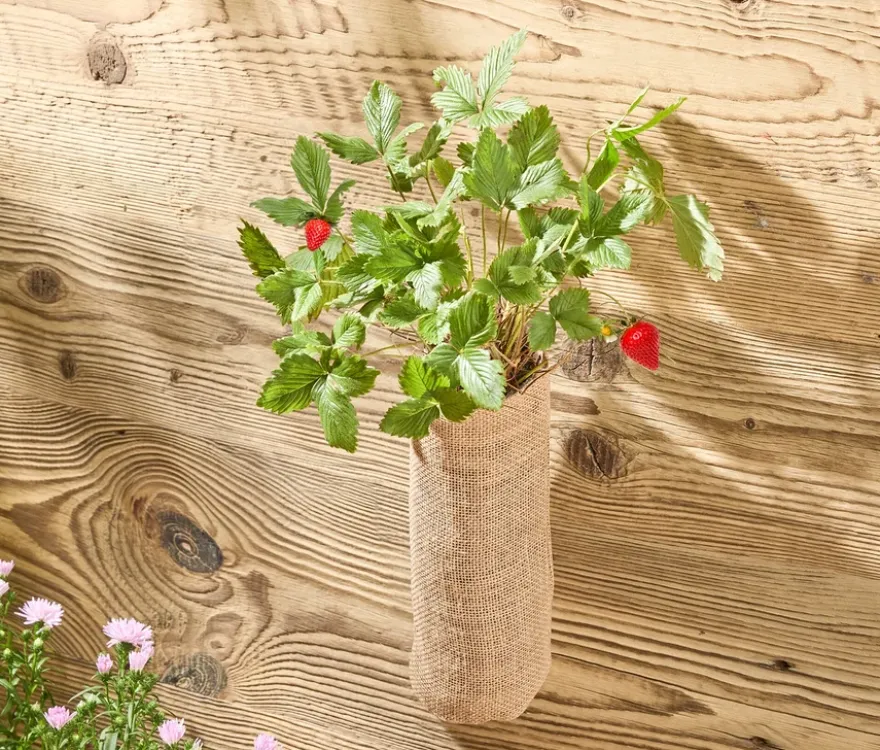 Hängender Erdbeer-Garten
