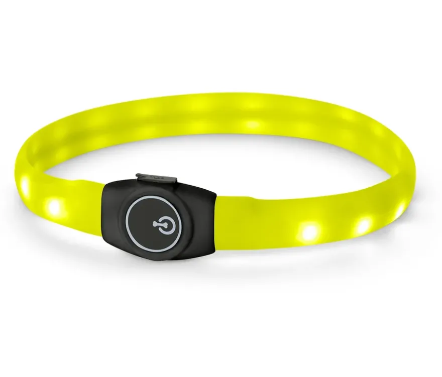 Hunde-LED-Leucht-Halsband
