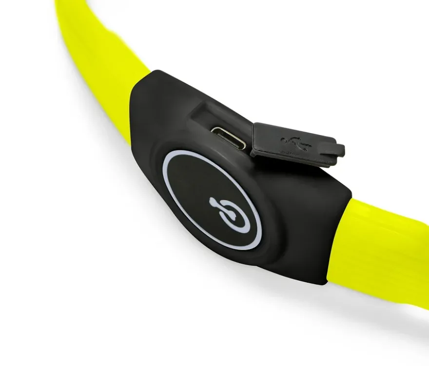 Hunde-LED-Leucht-Halsband