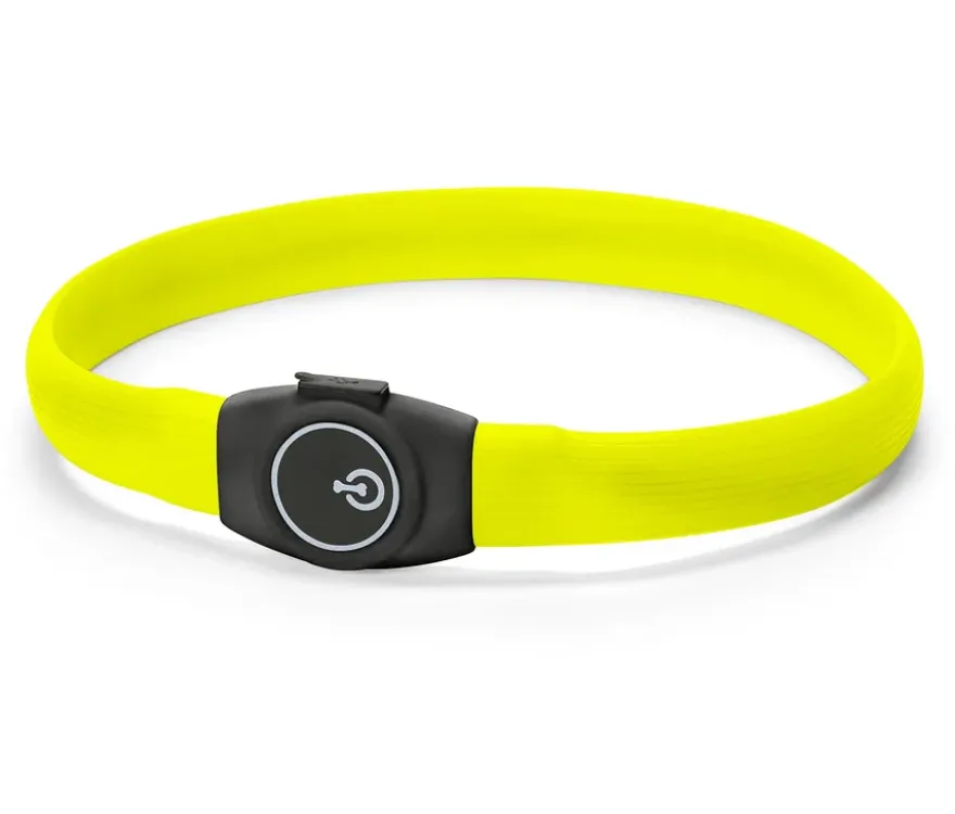 Hunde-LED-Leucht-Halsband