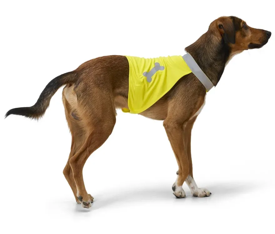 Hunde-Leuchtweste