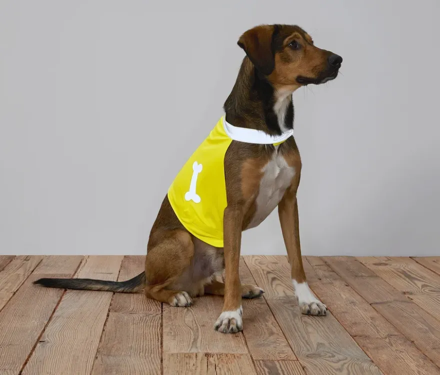 Hunde-Leuchtweste
