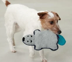 Hunde-Plüschspielzeug »Biber«