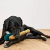 Hunde-Plüschspielzeug »Champagnerflasche«