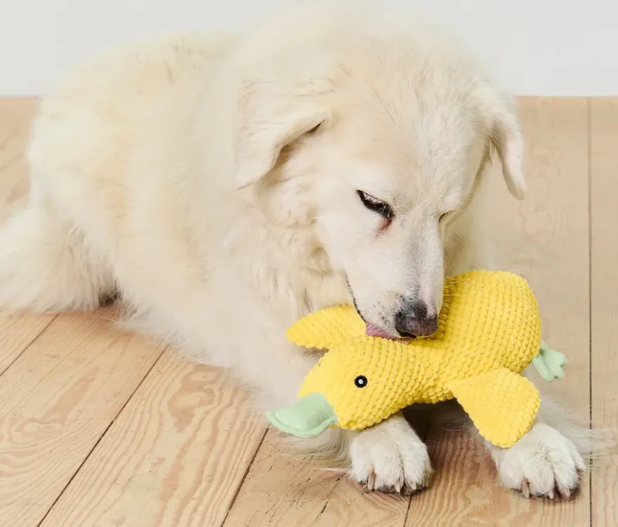 Hunde-Plüschspielzeug »Ente«