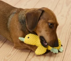 Hunde-Plüschspielzeug »Kleine Ente«