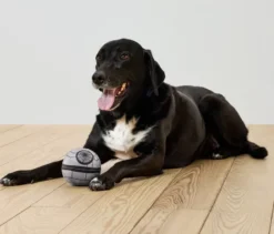 Hunde-Quietsch-Plüschball »Star Wars«