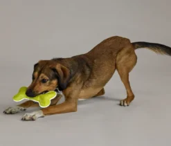 Hundespielzeug »Knochen«