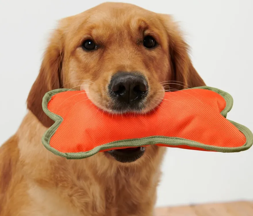 Hundespielzeug »Knochen«