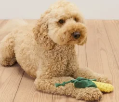 Hundespielzeug »Mais«