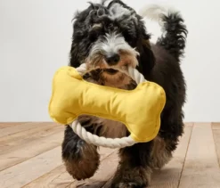 Hunde-Tau-Spielzeug