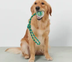 Hunde-Wurfspielzeug
