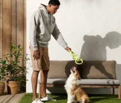 Hunde-Zerrspielzeug