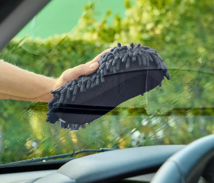 2-in-1-Auto-Insektenschwamm