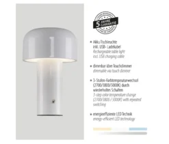 JUST LIGHT LED-Akku-Tischleuchte »Agnes«, 2er-Set, weiß