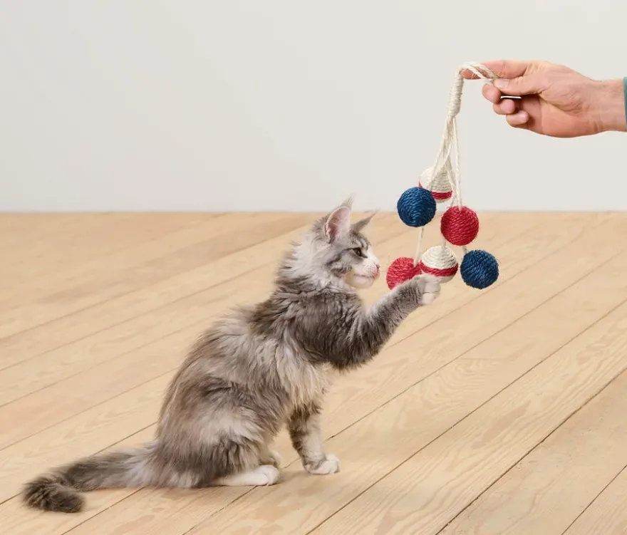 Katzenspielzeug »Rassel«