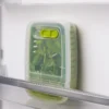 Kräuter-Frischhaltebox