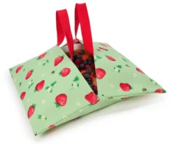 Kuchentransporttasche