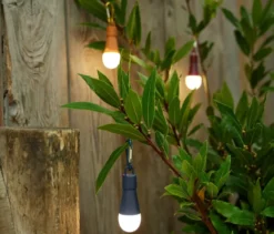 3 LED-Deko-Lichter