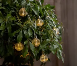 LED-Lichterkette »Glühbirnen«