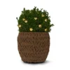 LED-Microlichterkette »Blumen«