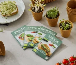 4 Microgreens-Klassiker