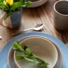 Mäser Geschirr-Set »Valmera«, 20-tlg, blau