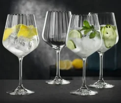 4 Nachtmann Gläser Gin & Tonic »Celebration«