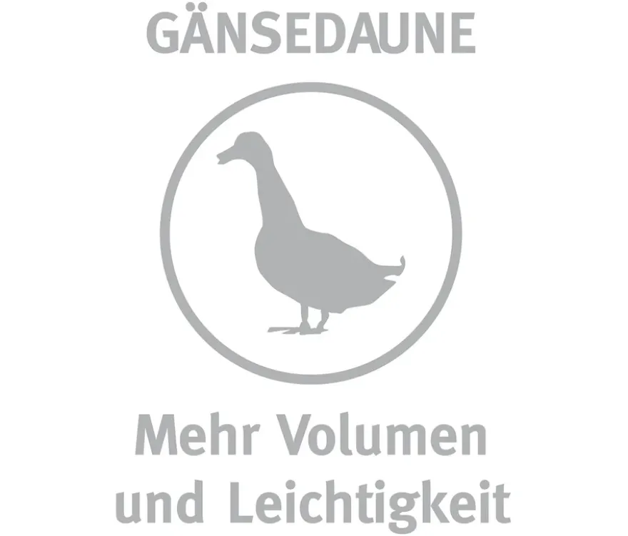 Paradies Ganzjahres-Daunendecke »Hoheluft«, Normalgröße