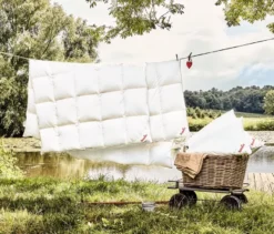 Paradies Ganzjahres-Daunendecke »Hoheluft«, Normalgröße