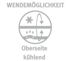 Paradies Kopfkissen »Softy BestCool«, ca. 80 x 40 cm