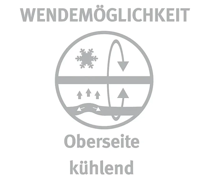 Paradies Kopfkissen »Softy BestCool«, ca. 80 x 80 cm