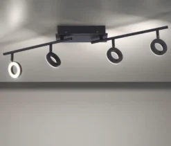 Paul Neuhaus LED-Deckenleuchte »Sileda«, groß