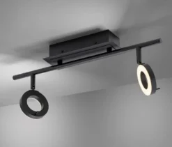 Paul Neuhaus LED-Deckenleuchte »Sileda«, klein