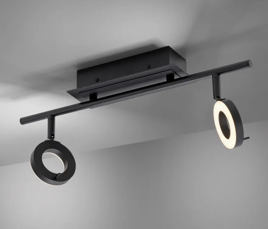 Paul Neuhaus LED-Deckenleuchte »Sileda«, klein